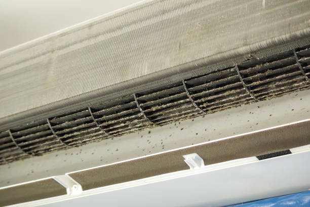 Best Air Duct Cleaning Near Me  in Basking Ridge, NJ